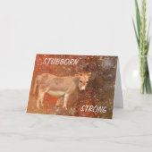 ロバ勇気付けられるがんサポートカード カード (正面)