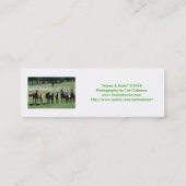 "ロバ及び子馬"のしおり スキニー名刺 (裏面)