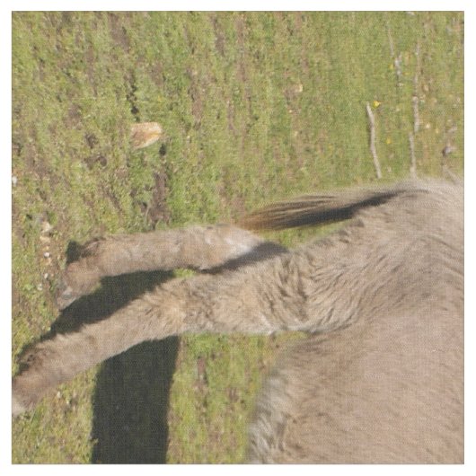 ロバ及び牛織物 ファブリック (クローズアップ)