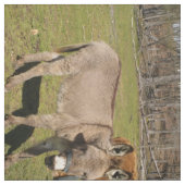 ロバ及び牛織物 ファブリック (見本)