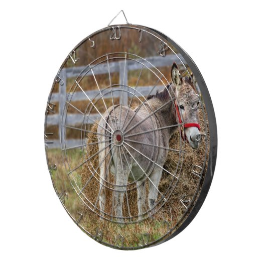 ロバ尾 ダーツボード (正面右)