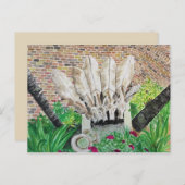 ロバ葉書 ポストカード (正面/裏面)