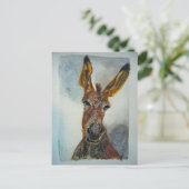 ロバ葉書 ポストカード (スタンド正面)