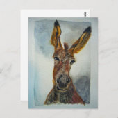 ロバ葉書 ポストカード (正面/裏面)