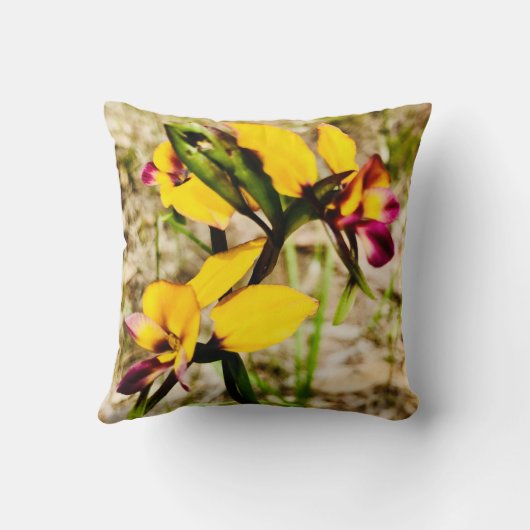 ロバ蘭 クッション (裏面)