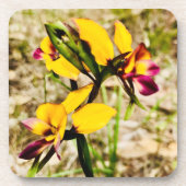 ロバ蘭 コースター (正面)