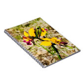 ロバ蘭 ノートブック (右側)