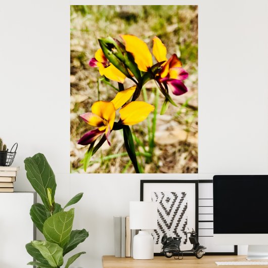 ロバ蘭 ポスター (ホームオフィス)