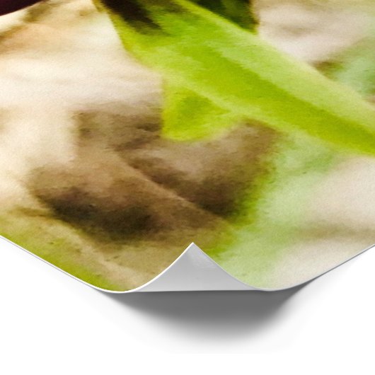 ロバ蘭 ポスター (角)