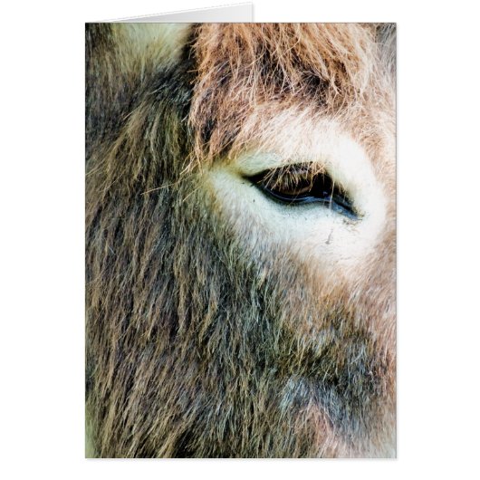 ロバ・カード (正面)