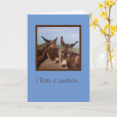 ロバ・ダブル カード (黄色い花)