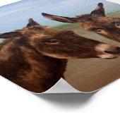 ロバ・ダブル ポスター (角)