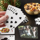 ロバ トランプ (インサイチュ)