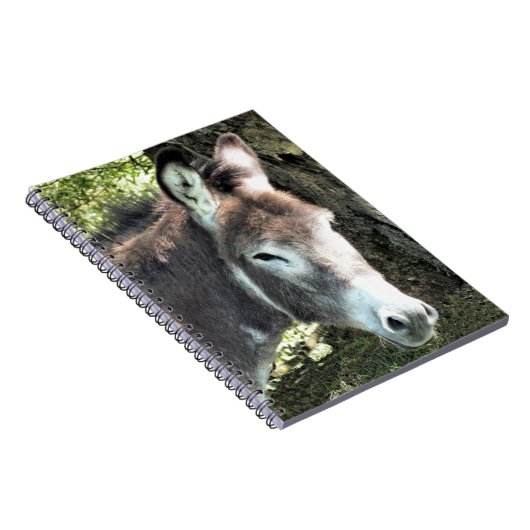 ロバ ノートブック (右側)