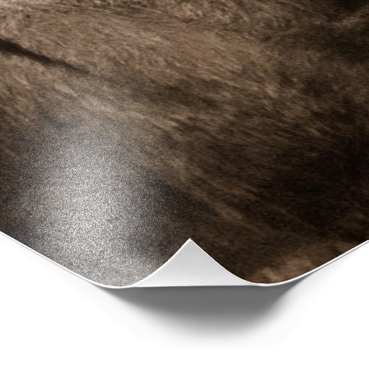 ロバ フォトプリント            (角)