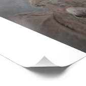 ロバ フォトプリント            (角)