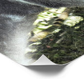 ロバ フォトプリント            (角)