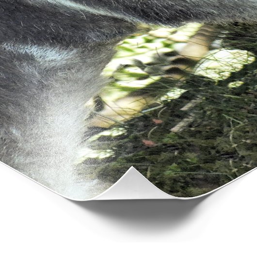 ロバ フォトプリント            (角)