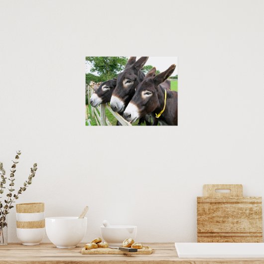 ロバ！ ポスター (キッチン)