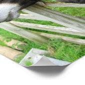 ロバ！ ポスター (角)