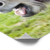 ロバ ポスター (角)