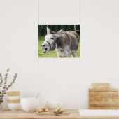 ロバ ポスター (キッチン)