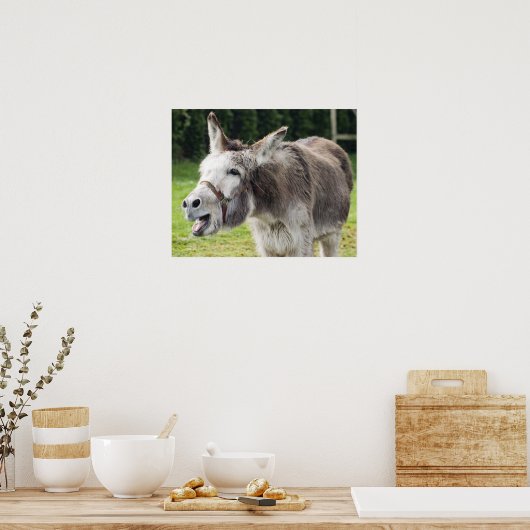 ロバ ポスター (キッチン)