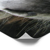 ロバ! ポスター (角)