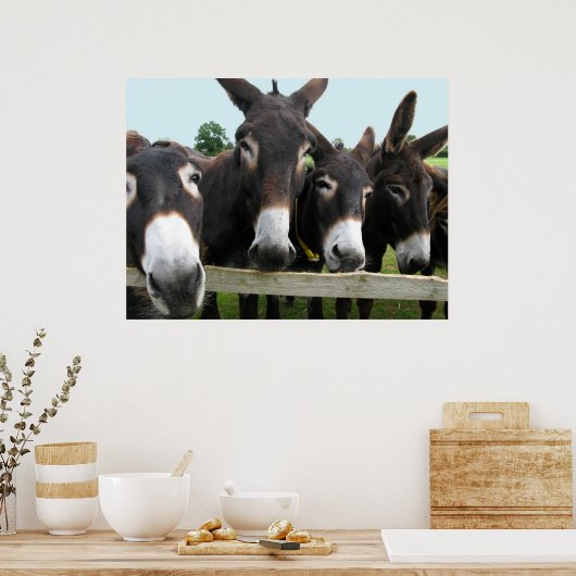 ロバ！ ポスター (キッチン)