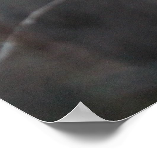 ロバ ポスター (角)