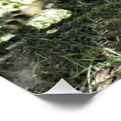 ロバ ポスター (コーナー)