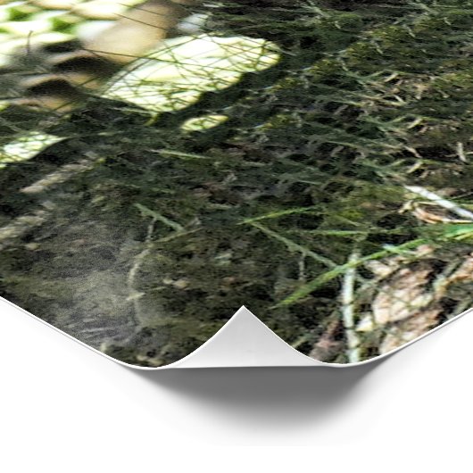 ロバ ポスター (コーナー)