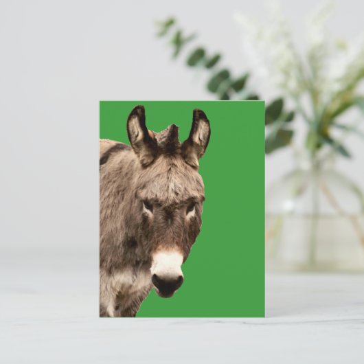 ロバ ポストカード (スタンド正面)