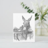 ロバ ポストカード (スタンド正面)