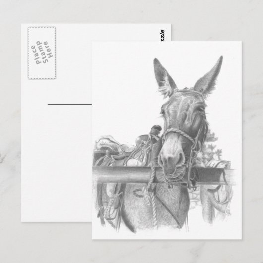 ロバ ポストカード (正面/裏面)