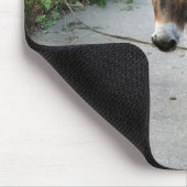 ロバ マウスパッド (コーナー)