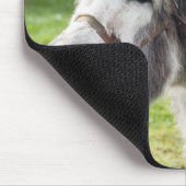 ロバ マウスパッド (コーナー)