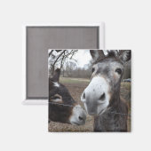 ロバ! マグネット (正面/裏面)