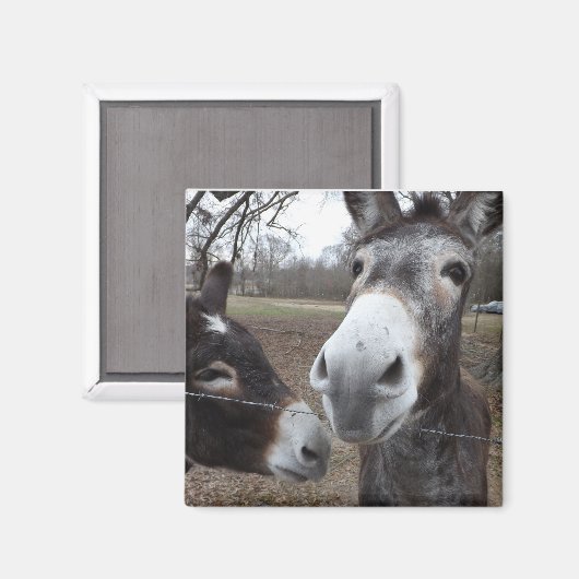 ロバ! マグネット (正面/裏面)