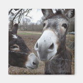 ロバ! マグネット (正面)