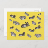 ロバ・マニア ポストカード (正面/裏面)