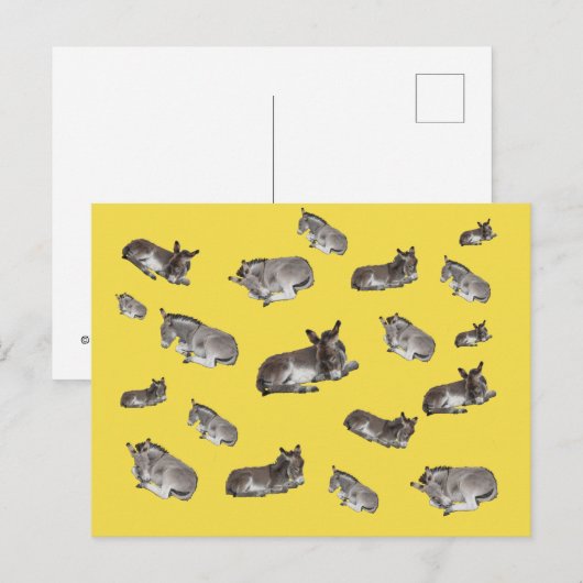 ロバ・マニア ポストカード (正面/裏面)