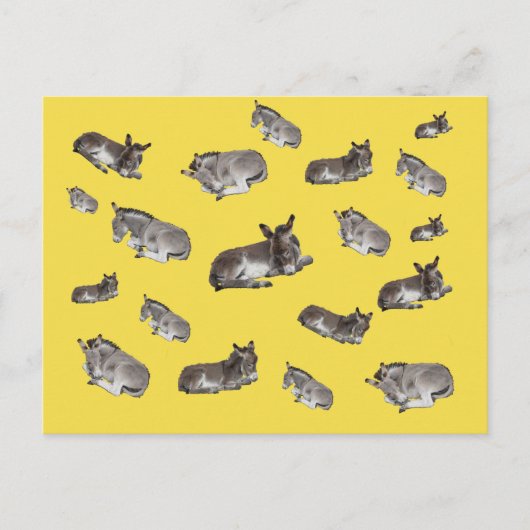 ロバ・マニア ポストカード (正面)