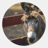 ロバ ラウンドシール (正面)