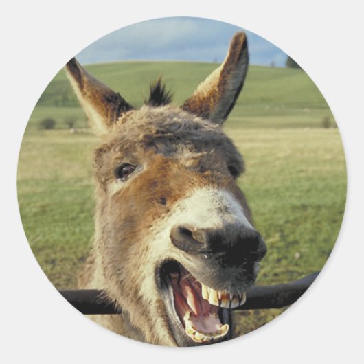 ロバ ラウンドシール (正面)