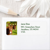 ロバ ラベル (インサイチュ)