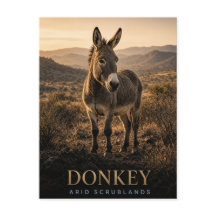 ロバ 乾燥低木地帯 野生動物