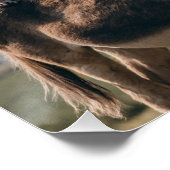 ロバ、犬、猫、鶏の杭のポスター ポスター (コーナー)