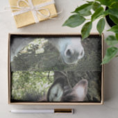 ロバ 薄葉紙 (ギフト)