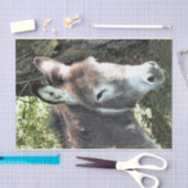 ロバ 薄葉紙 (クラフト)